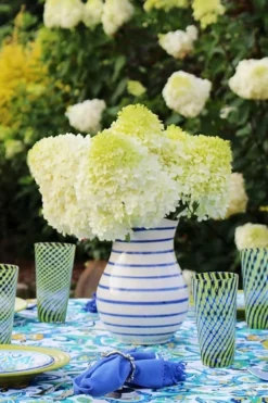 Limelight PeeGee Hydrangea - 2.5 Gallon Pot 16 Limelight PeeGee Hydrangea - 2.5 Gallon Pot -Plants Sales Store Hydrangea Limelight 106 2