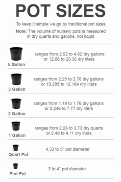 Plants Sales Store -Plants Sales Store pot size chart 2022 154